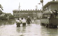 照片;大东市政府浸水受灾情况。水溢出到膝盖左右。