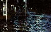 照片;位于八尾市的图书馆前面也浸水了。