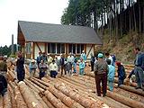 木材综合中心木材共贩所的照片